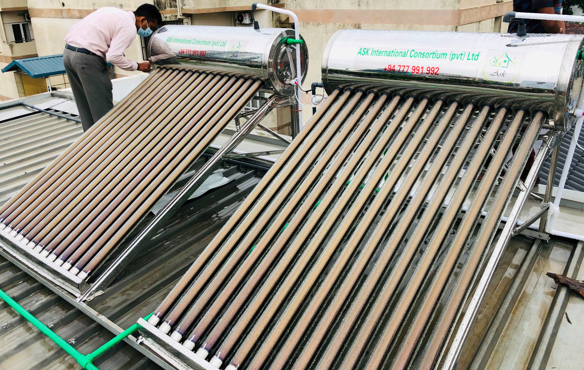 Palm Grove Avenue - Kollupitiya